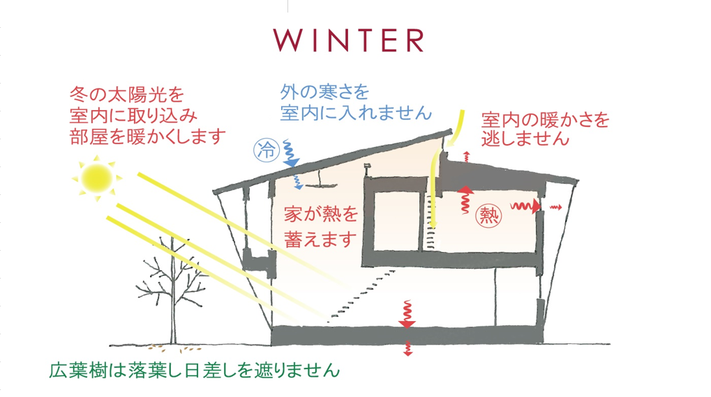ウィンター